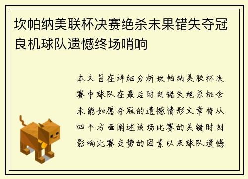 坎帕纳美联杯决赛绝杀未果错失夺冠良机球队遗憾终场哨响